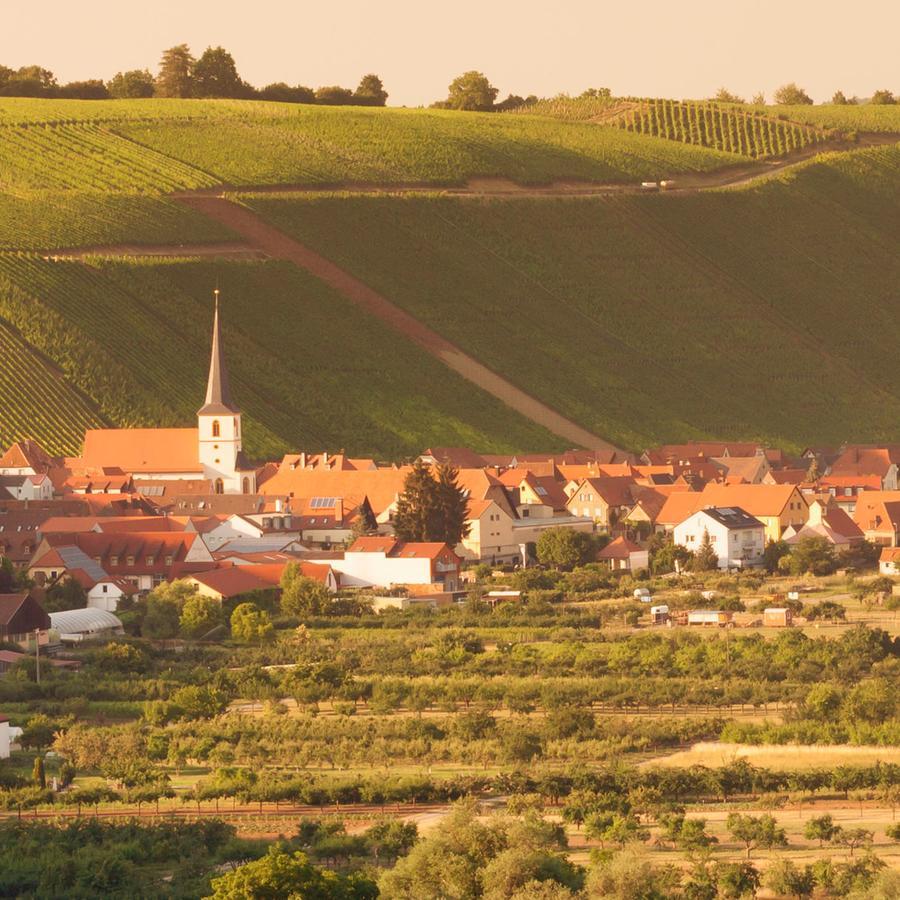 Hotel Domizil Nunn Escherndorf Zewnętrze zdjęcie