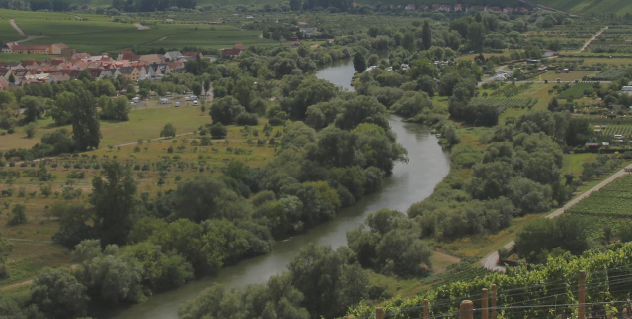 Hotel Domizil Nunn Escherndorf Zewnętrze zdjęcie